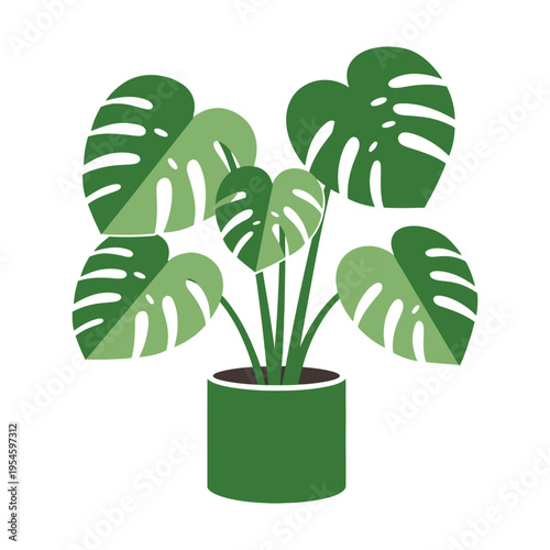 Monstera deliciosa plant in green pot isolated on black background minimalist decor