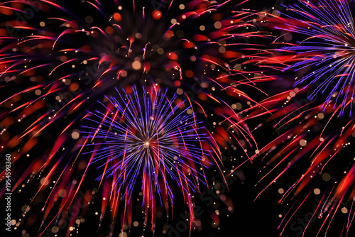 Wallpaper Mural アート花火（長野えびす講煙火大会） Torontodigital.ca