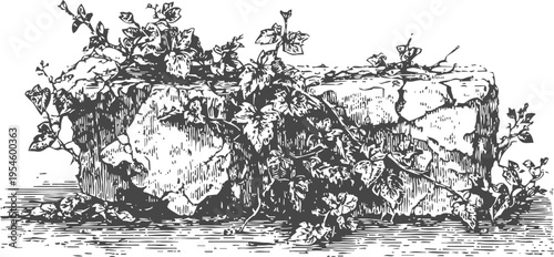 Vintage illustration of old stone block entwined with creeping ivy plant and leaves