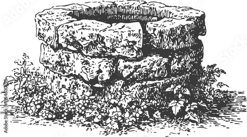 Old stone well with plants growing around vintage hand drawn garden water source illustration