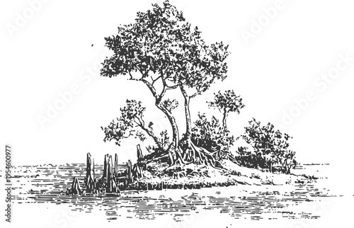 Small island with mangrove trees and roots growing in water, coastal nature landscape sketch