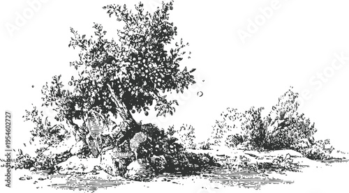 vintage countryside scene with trees, rocks, and grass in black and white sketch