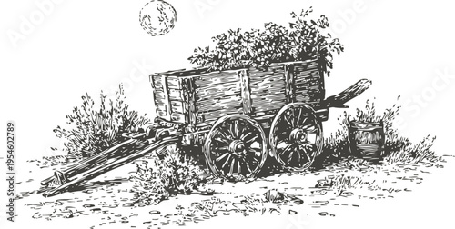 Rustic wooden cart filled with plants and bucket in countryside garden setting