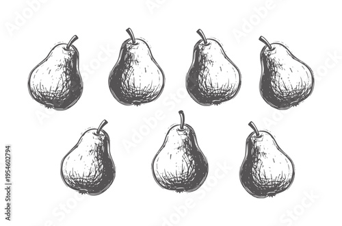 Seven dark grey sketched pears arranged in two rows a white fruit