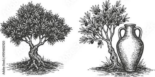 hand drawn olive trees and antique amphora jar mediterranean agriculture and ancient pottery illustration