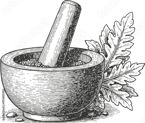 Vintage mortar and pestle with herbs hand drawn spice grinder bowl and leaves illustration
