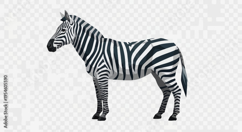 Zebra standing in profile view.