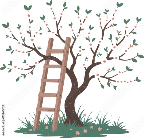 Fruit tree with ladder illustration, spring orchard vector graphic scene