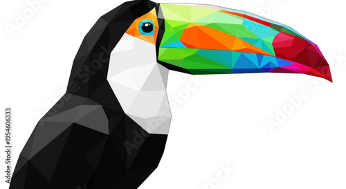 Colorful Toucan Bird Closeup Profile View.