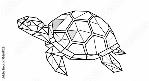 Geometric turtle illustration in black lines.