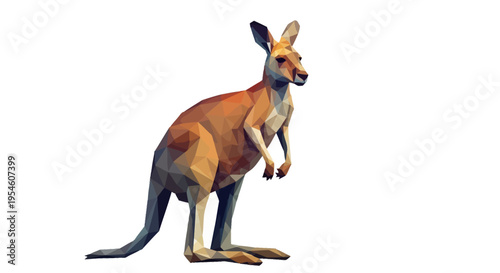 Kangaroo standing on its hind legs.