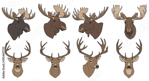 Collection of Moose and Deer Heads with Antlers Vector Art