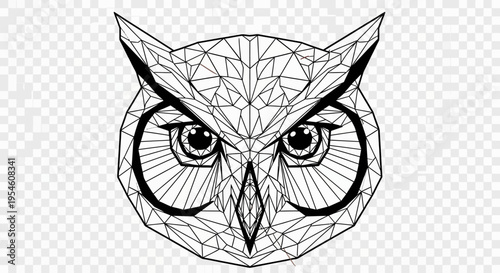 Owl Face with Geometric Pattern Lines.