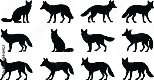 Fox silhouette collection with multiple poses, wild fox animal vector set isolated on white background for graphic design use