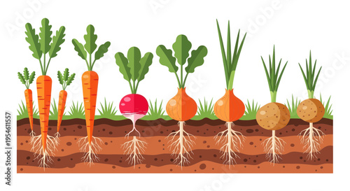 Vegetables Growing in Soil: Carrots, Radishes, and Onions with Roots