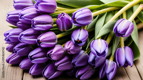 Beautiful bouquet of many small violet tulips Tulipa for celebration