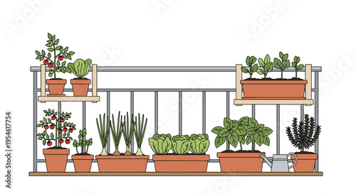 Various plants like tomatoes, lettuce, and herbs are growing in terracotta pots on shelves and the floor of a balcony garden with a metal railing.