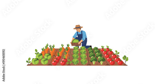 A farmer in a straw hat and blue overalls kneels in a garden bed, harvesting a green cabbage into a wooden crate amidst rows of vegetables.