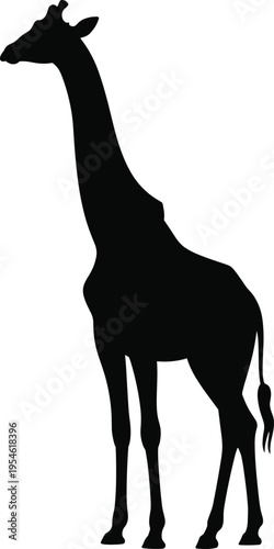 Giraffe silhouette standing, long neck, wildlife animal, African savanna, nature design, tall mammal, safari theme, zoology study, exotic species, illustration