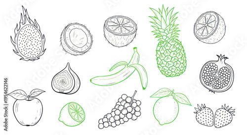 Hand-drawn Fruits Collection: Exotic and Tropical Variety