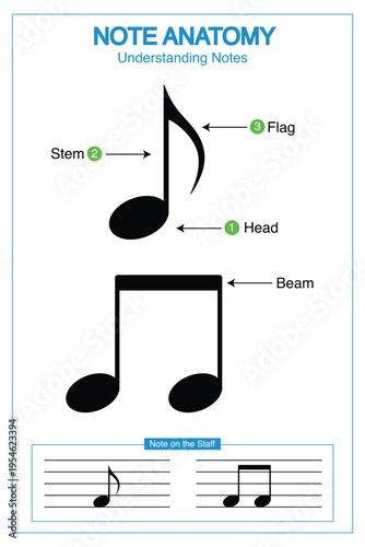Note Anatomy Worksheet Printable Musical Theory Understanding Notes. Basic Learning Education Music School