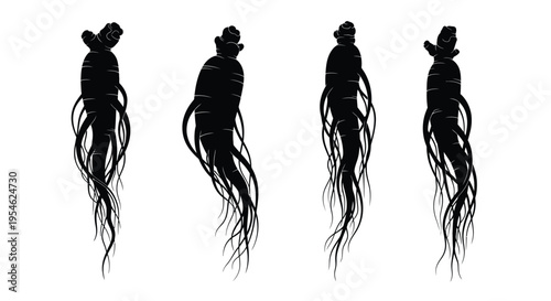 Four ginseng roots depicted in a striking black silhouette