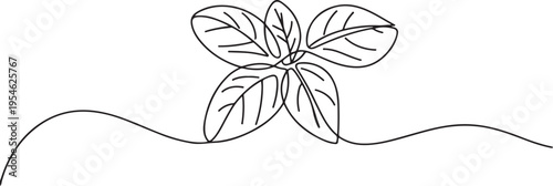 Continuous line, basil leaves line art vector illustration. one line Icon drawing