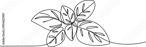 Continuous line, basil leaves line art vector illustration. one line Icon drawing