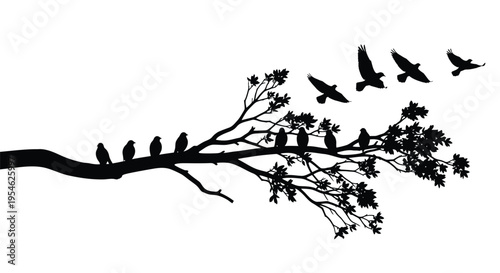 Birds perched on a branch taking flight a striking silhouette