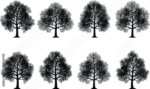 Black silhouettes of various deciduous trees with detailed bare branches set against white background for nature, landscape, and environmental design.