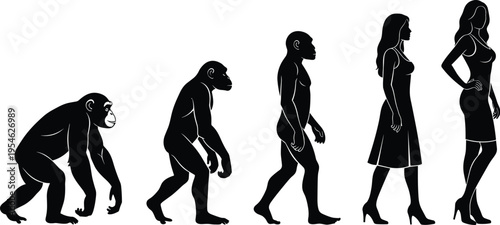 Evolution of humans from primates to modern women in stylish dress, anthropology concept illustration, scientific educational artwork