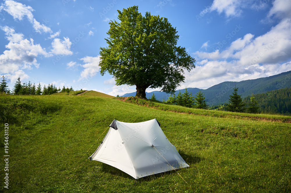 Fototapeta premium White tourist tent on lush, green hillside next to large, solitary tree under bright blue sky. Panoramic view of forested mountains, creating serene and picturesque camping spot amidst nature.