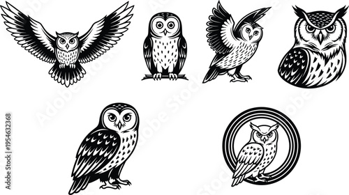 Set of six stylized owl illustrations in black and white, featuring unique poses, detailed feathers, and expressive designs, perfect for logos, tattoos, and decorative artwork