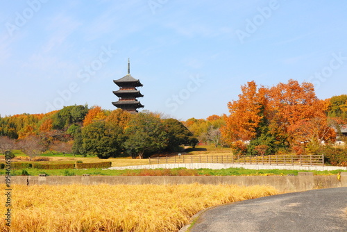岡山県総社市　備中国分寺　五重塔