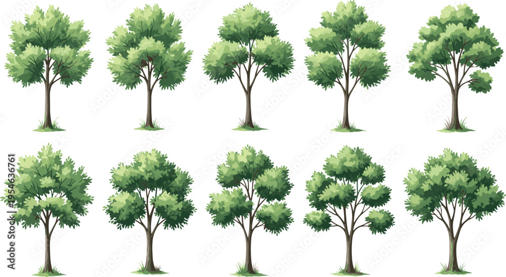 Fototapeta premium Collection of lush green deciduous trees in flat vector style isolated botanical elements for landscape design game assets environment illustration forest set bundle