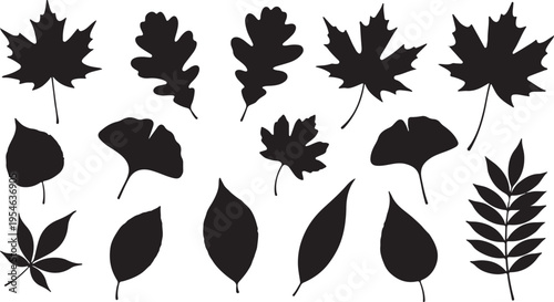 Collection of Diverse Autumn Leaf Silhouettes on White Background