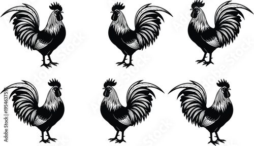 Detailed black and white rooster illustrations in symmetrical arrangement, stylized poultry artwork for design, decoration, farming education, animal illustration, and traditional artistic 