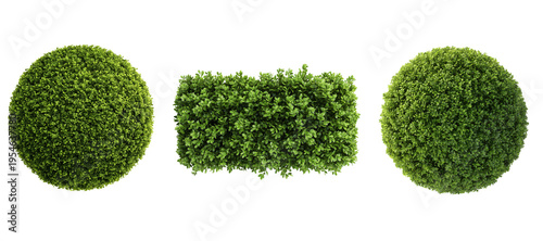 Top view of a hedge row Set isolated or on white background 3d render png. Architecture plan	