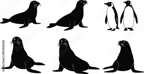 Seal and Penguin Silhouette Set Vector Illustration with Marine Animals in Different Poses for Wildlife Design, Nature Graphics, Ocean Themes, and Educational Projects