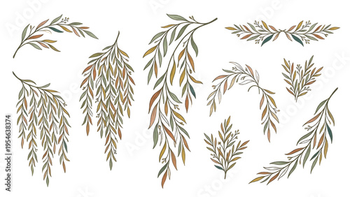 Stylized Willow Branch Vector Set Flowing Botanical Lines in Boho Muted Color Palette for Organic Branding
