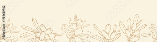 Sea Buckthorn Seamless Border. Outline Botanical Edge with Branch Berries and Leaves on Light Background. Vector illustration. Line Art hand-drawn. Organic Product Footer Horizontal Banner
