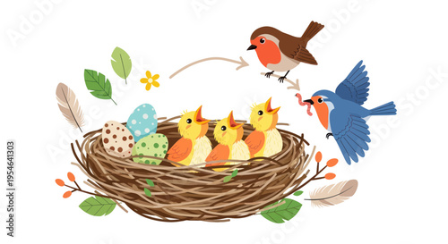 Bird Family Nest: Parents Feeding Chicks with Worms, Eggs, Feathers, Leaves