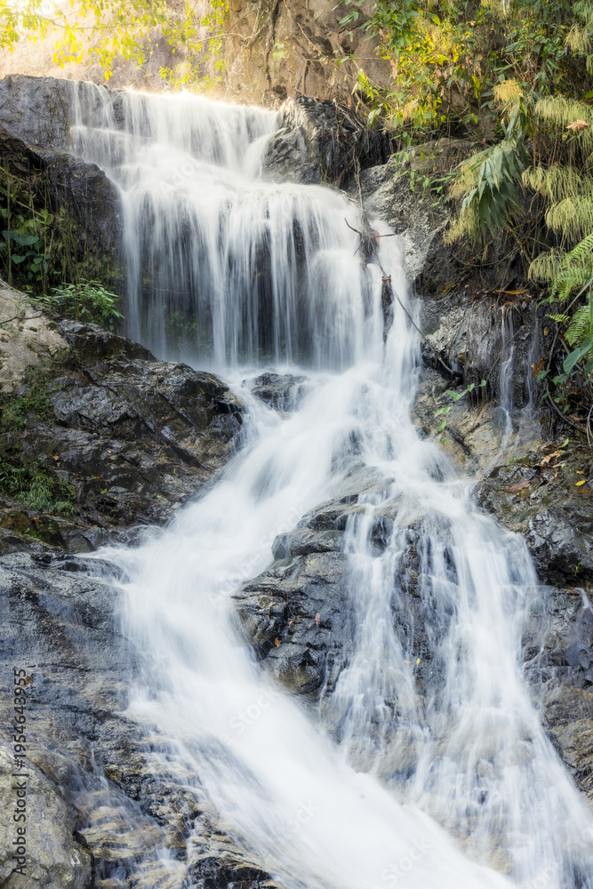 Obraz premium Peaceful waterfall cascading down dark rock in tranquil nature landscape. Fresh water stream flowing through lush green forest. Serene beautiful outdoor scene bringing calm refreshing emotion
