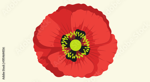 Vibrant Red Poppy Flower Illustration Isolated on Cream Background