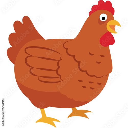 Chicken Hen Illustration