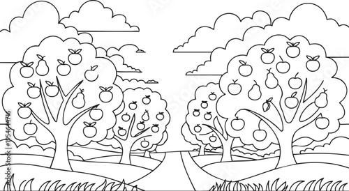 Black and white line art illustration of a fruit orchard with trees