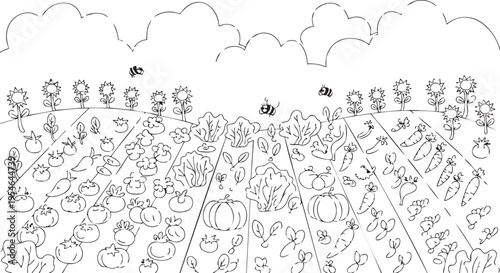 Black and white line art illustration of a vegetable garden with bees