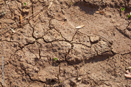 Ausgetrockneter rissiger Boden, Dürre, Trockenheit, Klimawandel, Deutschland