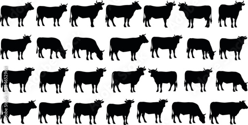 Black Cow Silhouettes Set Including Bull Heifer and Calf in Various Poses like Standing Walking and Grazing Isolated on White