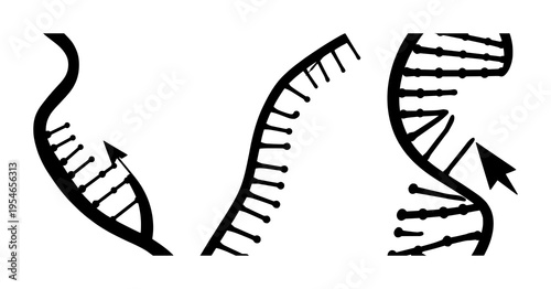 DNA sequence set with solid black silhouette of a sequence being edited with a cursor on white background featuring gene therapy, editing, technology with illustration and vector